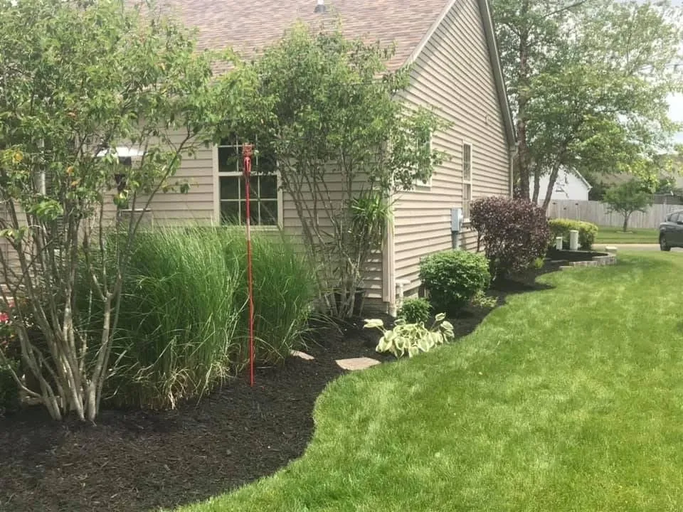 Expert yard cleanup service experts serving Johnstown, OH - Kneisleyscape