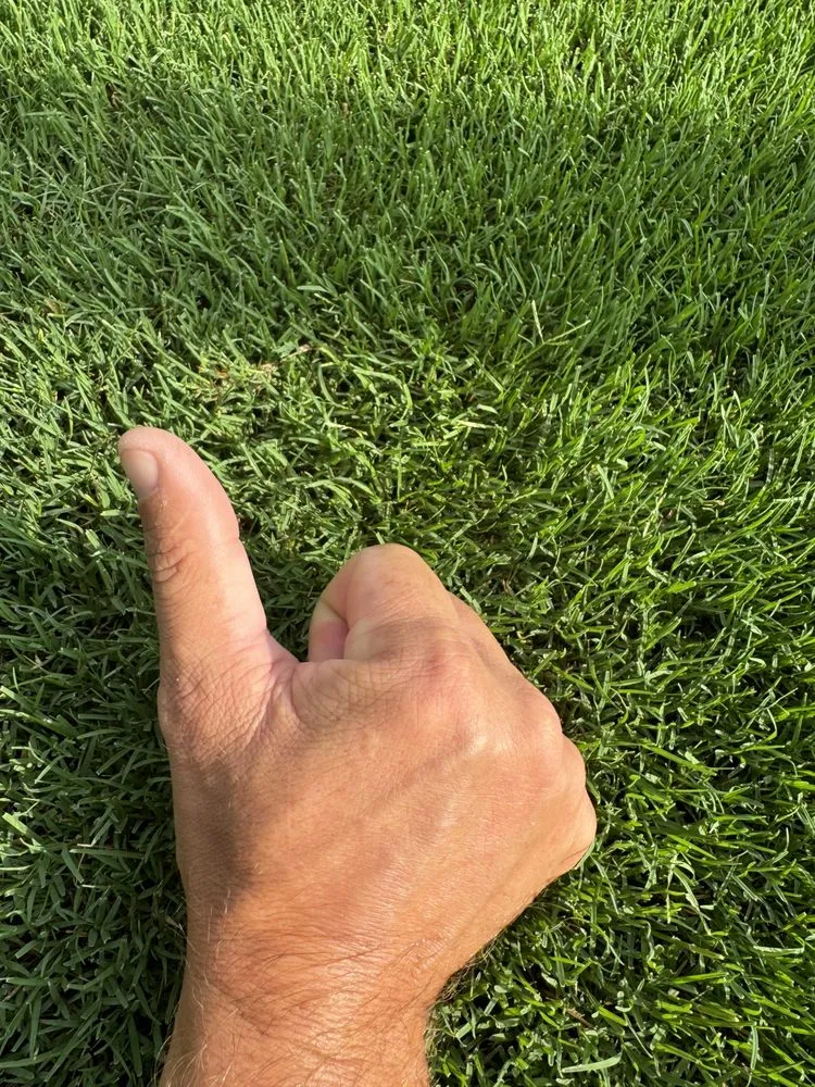 Reliable landscape design in Elizabeth City, NC - Kneisly Done