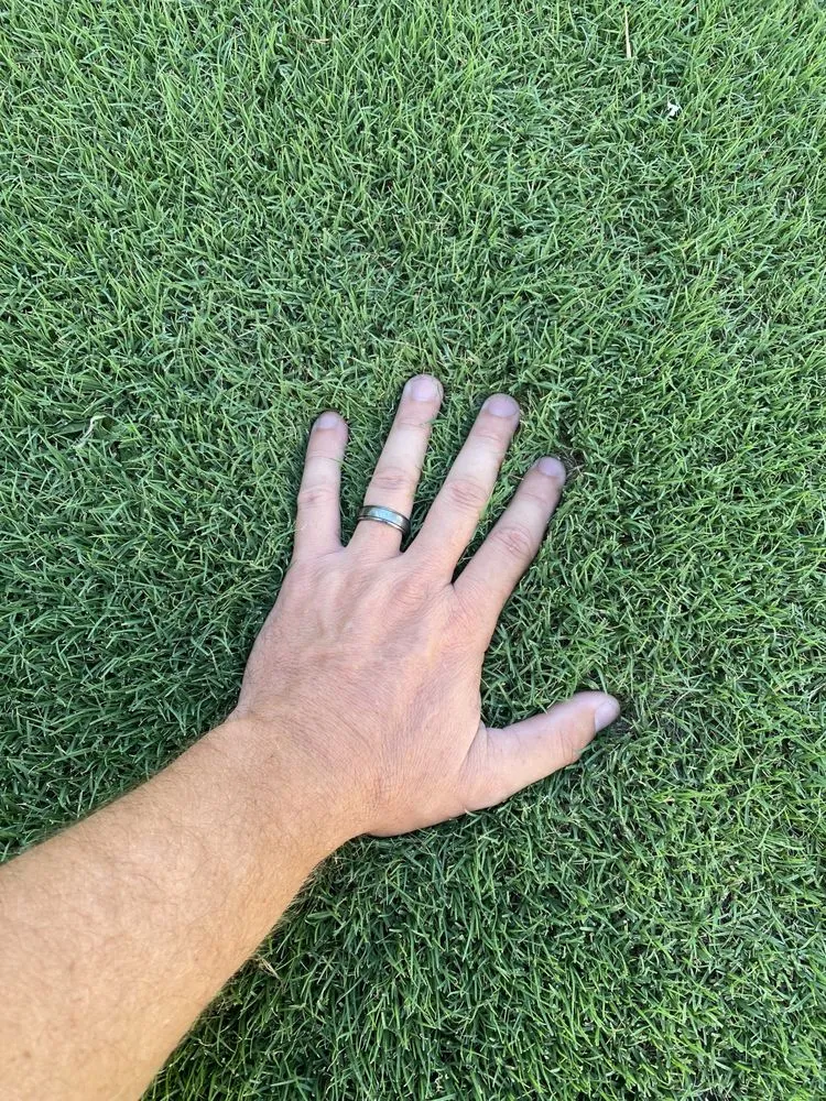 Professional landscape design for year-round maintenance in Elizabeth City, NC by Kneisly Done