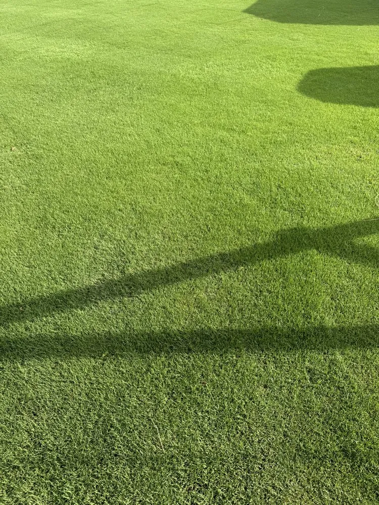 Local lawn care service for homes in Elizabeth City, NC by Kneisly Done