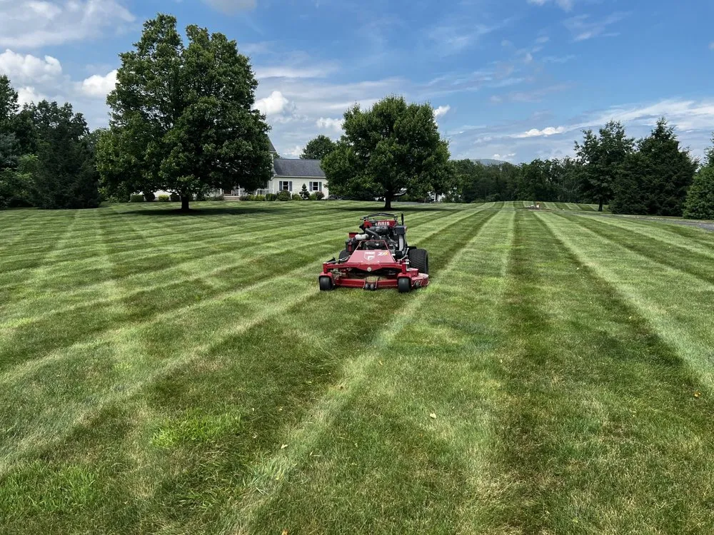 Expert landscaping services in Bloomsburg, PA - Knelly Lawn Service