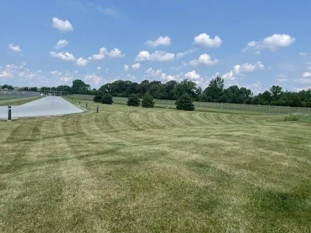 Local yard cleanup service experts serving Swanton, OH - KNG Lawn Care