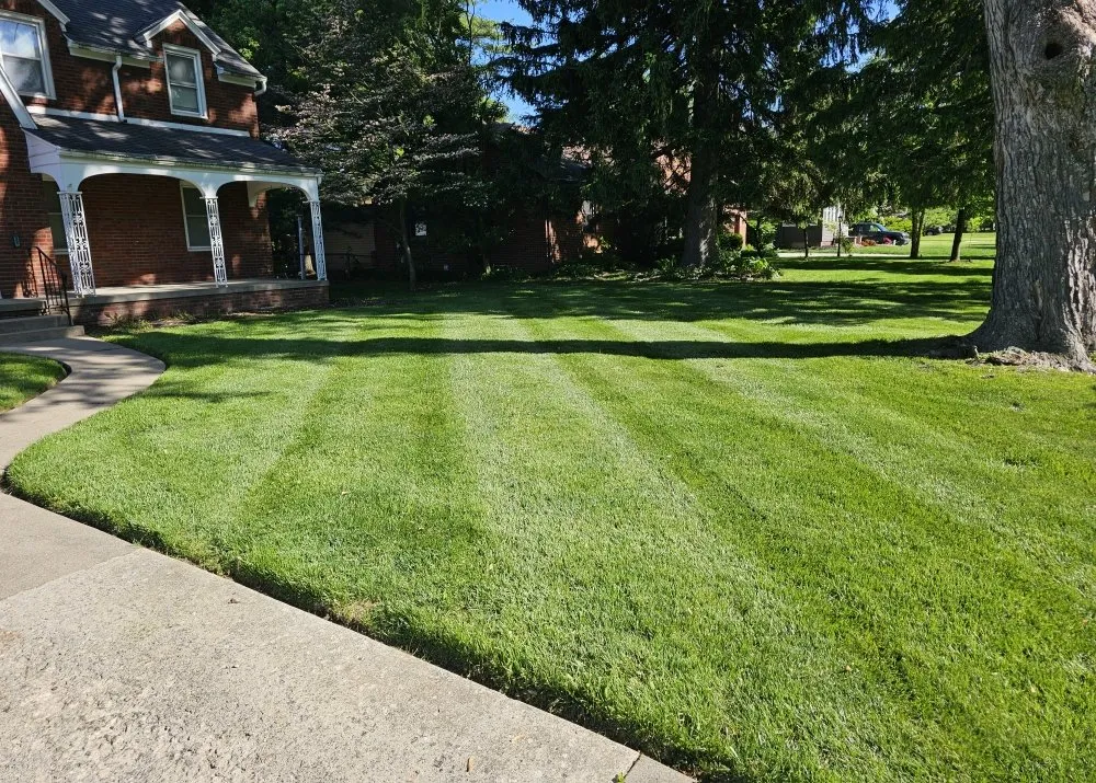 Expert residential landscaping in Swanton, OH - KNG Lawn Care