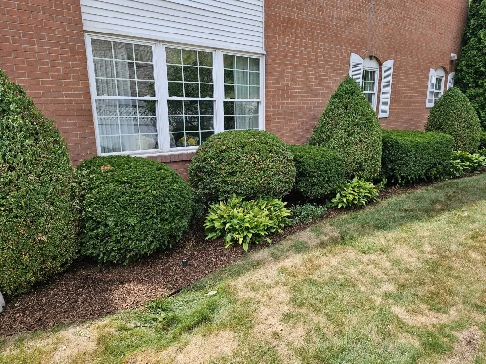 Trusted lawn mowing service in Swanton, OH - KNG Lawn Care