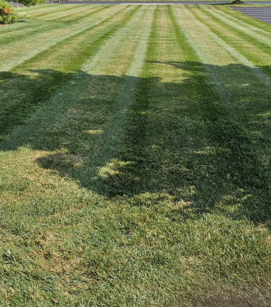 Trusted landscaping services in Swanton, OH - KNG Lawn Care