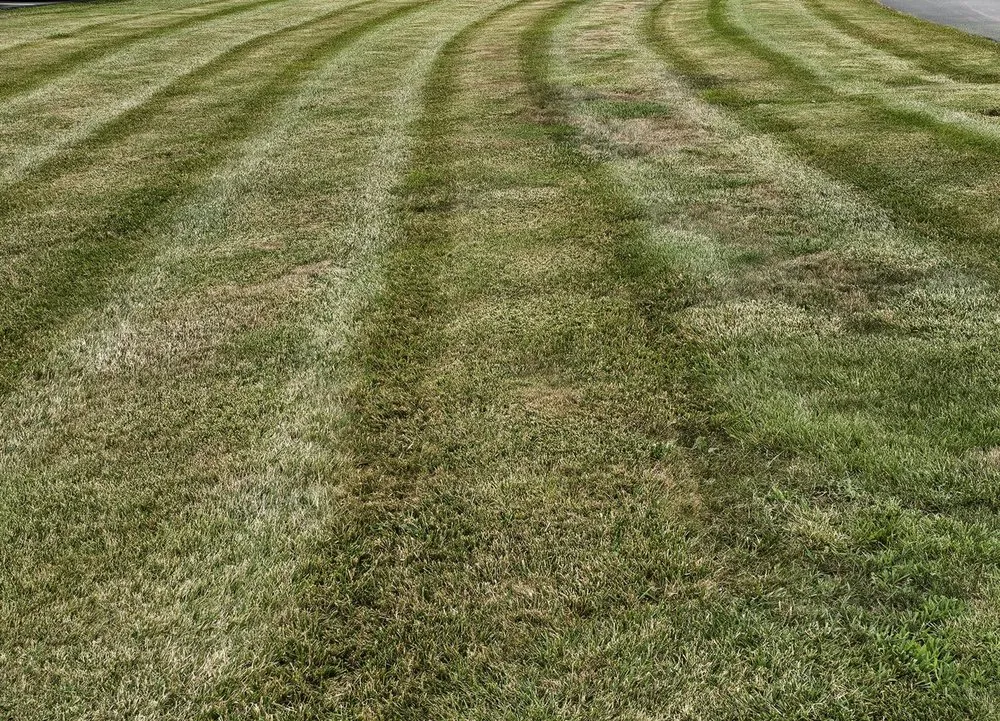 Custom outdoor landscaping in Swanton, OH by KNG Lawn Care