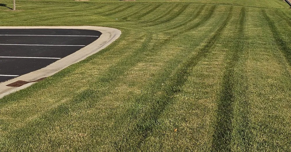 Expert yard cleanup service for beautiful yards in Swanton, OH by KNG Lawn Care