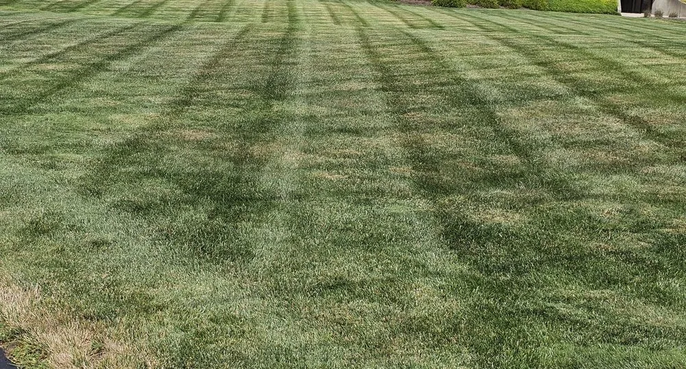 Trusted landscape design for homes in Swanton, OH by KNG Lawn Care