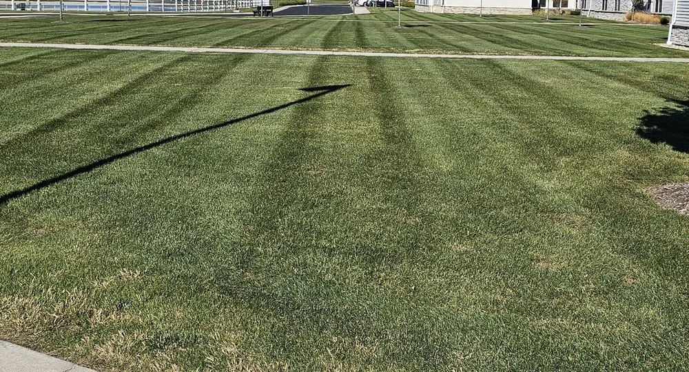 Professional landscape design in Swanton, OH by KNG Lawn Care