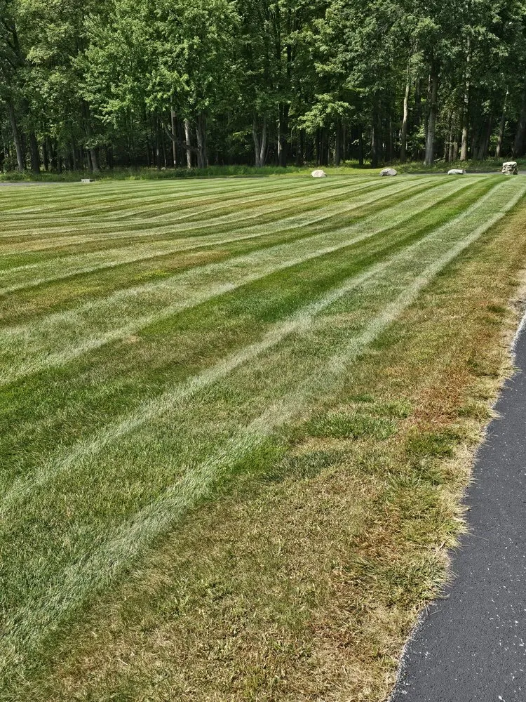 Top-rated yard maintenance experts serving Swanton, OH - KNG Lawn Care