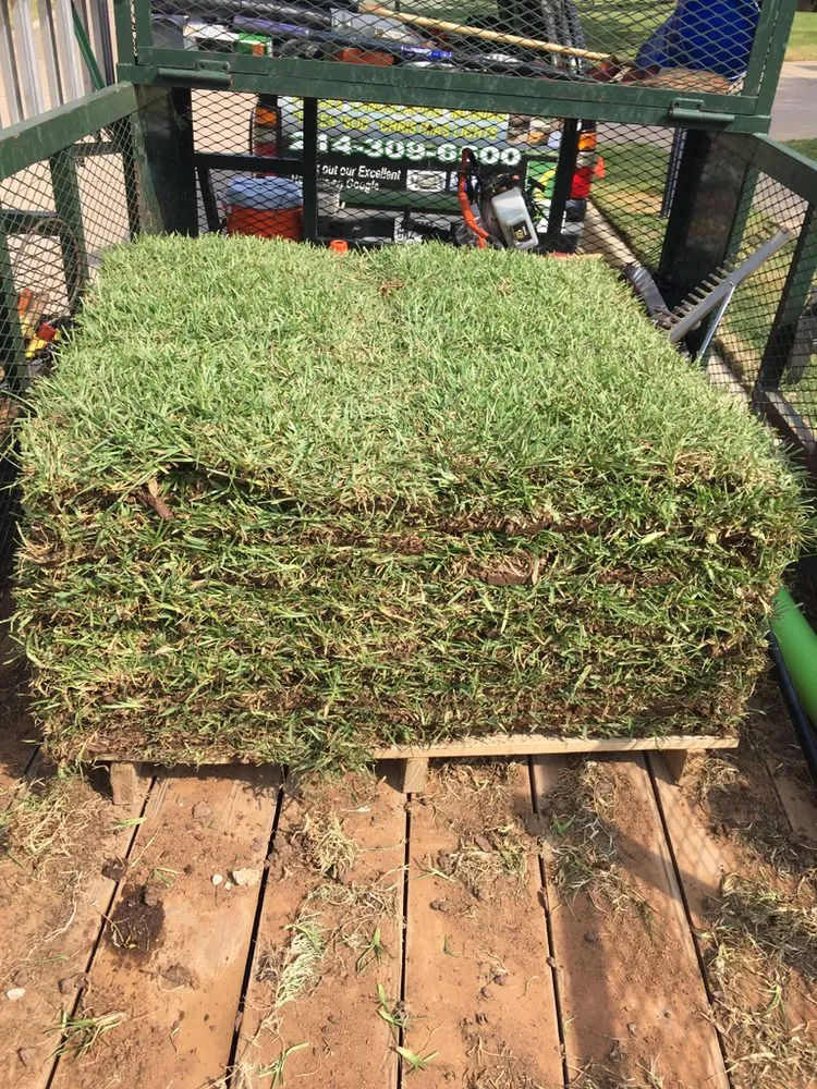 Affordable landscape installation experts serving North Richland Hills, TX - KNI Landscaping & Fences