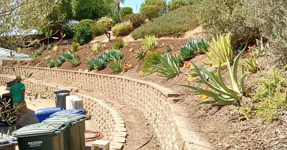 Top-rated outdoor landscaping for beautiful yards across El Cajon, CA - Kniffing's Landscape + Maintenance
