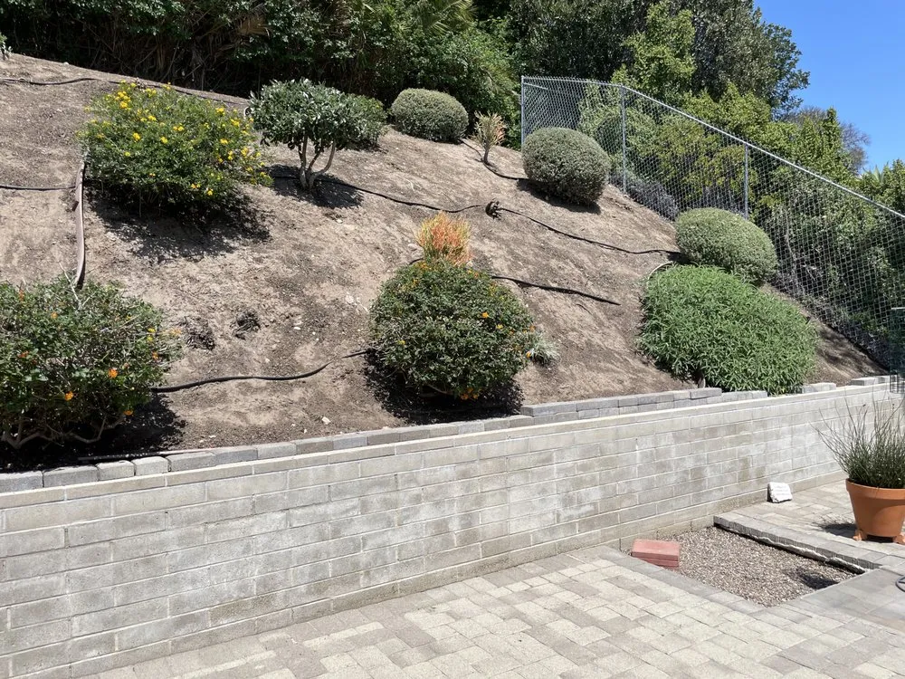 Expert landscape design for beautiful yards in El Cajon, CA by Kniffing's Landscape + Maintenance