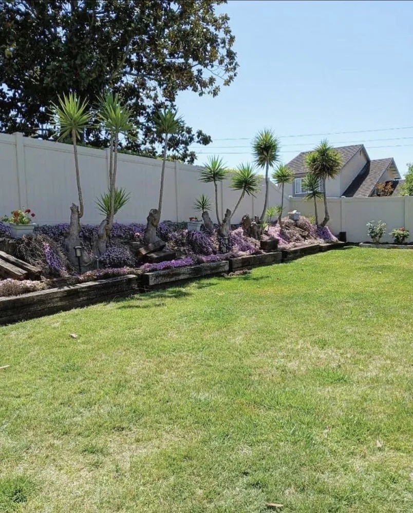 Affordable yard maintenance for residential properties in El Cajon, CA by Kniffing's Landscape + Maintenance