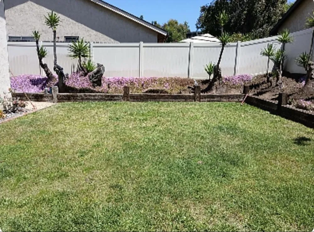 Custom yard maintenance in El Cajon, CA by Kniffing's Landscape + Maintenance
