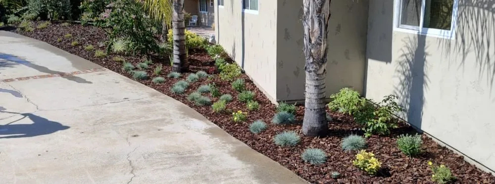Custom yard maintenance in El Cajon, CA - Kniffing's Landscape + Maintenance