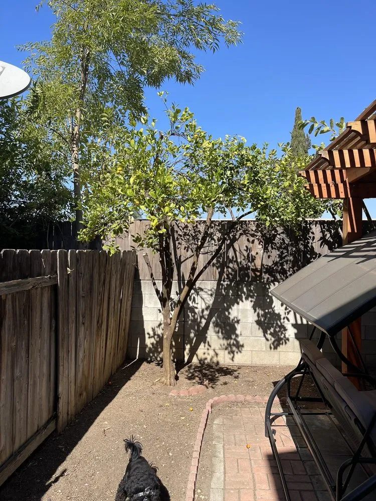 Affordable lawn mowing service near you in El Cajon, CA by Kniffing's Landscape + Maintenance