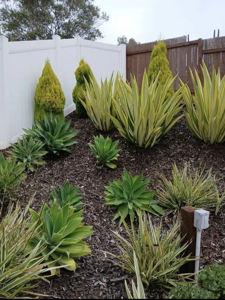 Custom landscaping services for homes in El Cajon, CA by Kniffing's Landscape + Maintenance