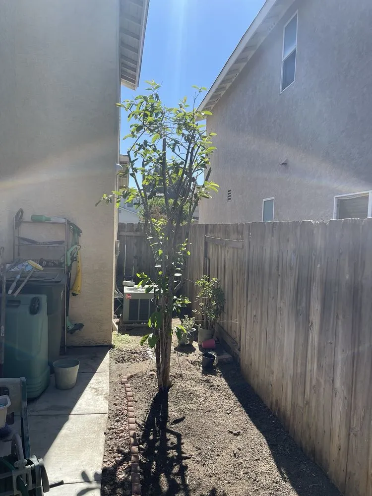 Trusted yard maintenance in El Cajon, CA - Kniffing's Landscape + Maintenance