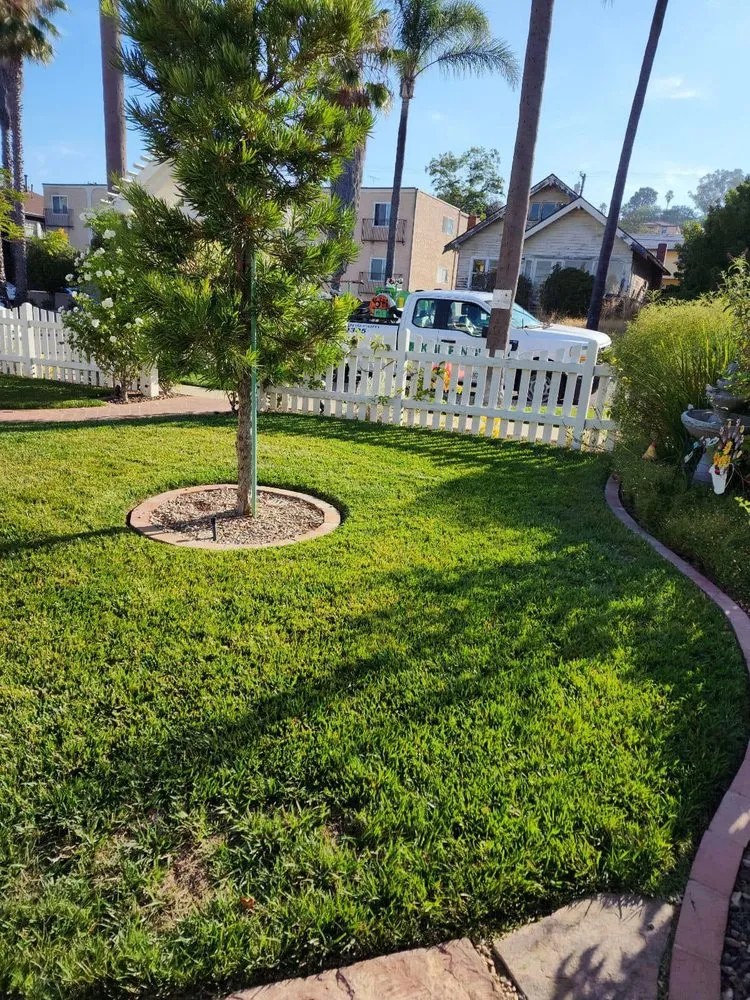 Reliable yard maintenance experts serving El Cajon, CA - Kniffing's Landscape + Maintenance