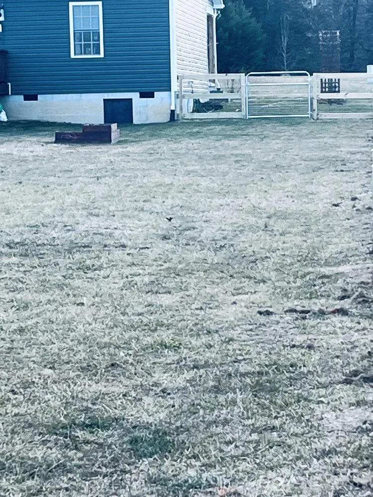 Custom lawn mowing service for year-round maintenance in Stanley, VA by Knight’ Third Generation Services LLC