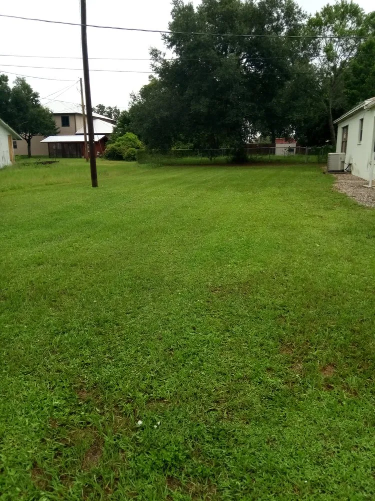 Trusted lawn care service for outdoor upgrades across Sebring, FL - Knightly Detail