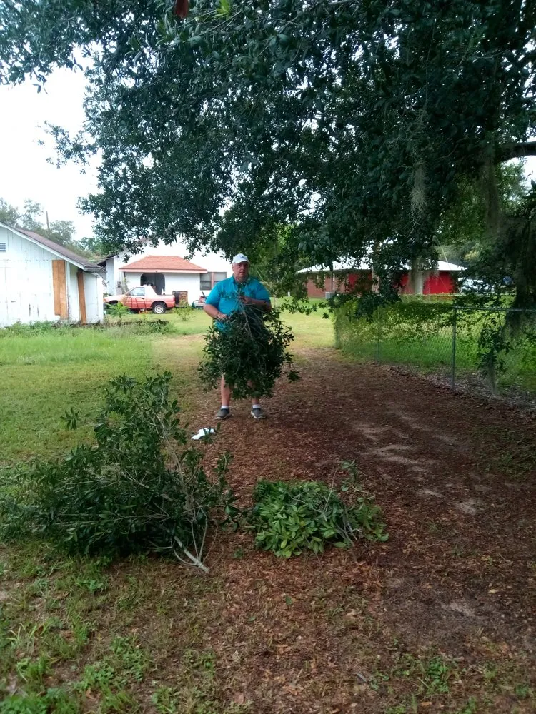 Affordable residential landscaping with custom design in Sebring, FL by Knightly Detail