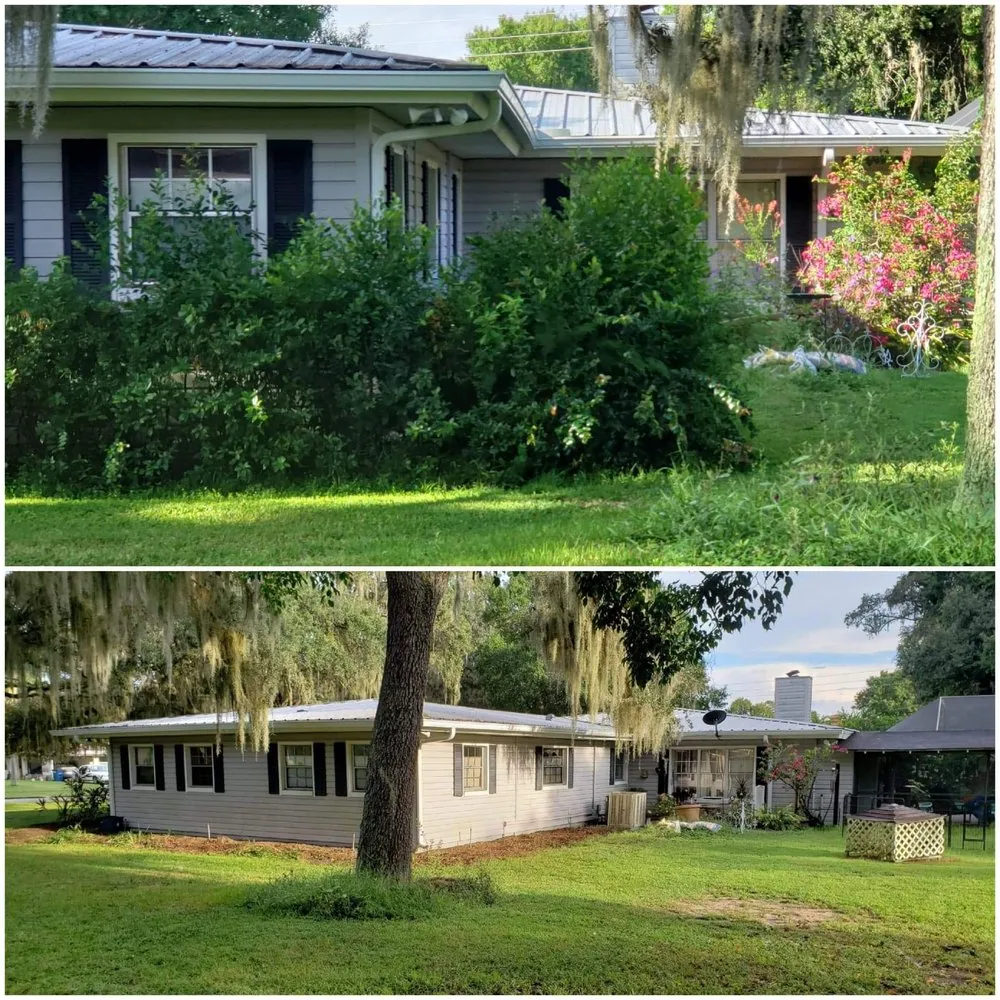 Reliable yard cleanup service in Sebring, FL by Knightly Detail