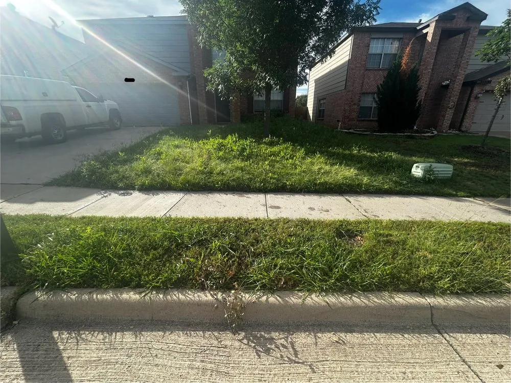 Professional residential landscaping experts serving Denton, TX - Knight’s Blade Lawn Care