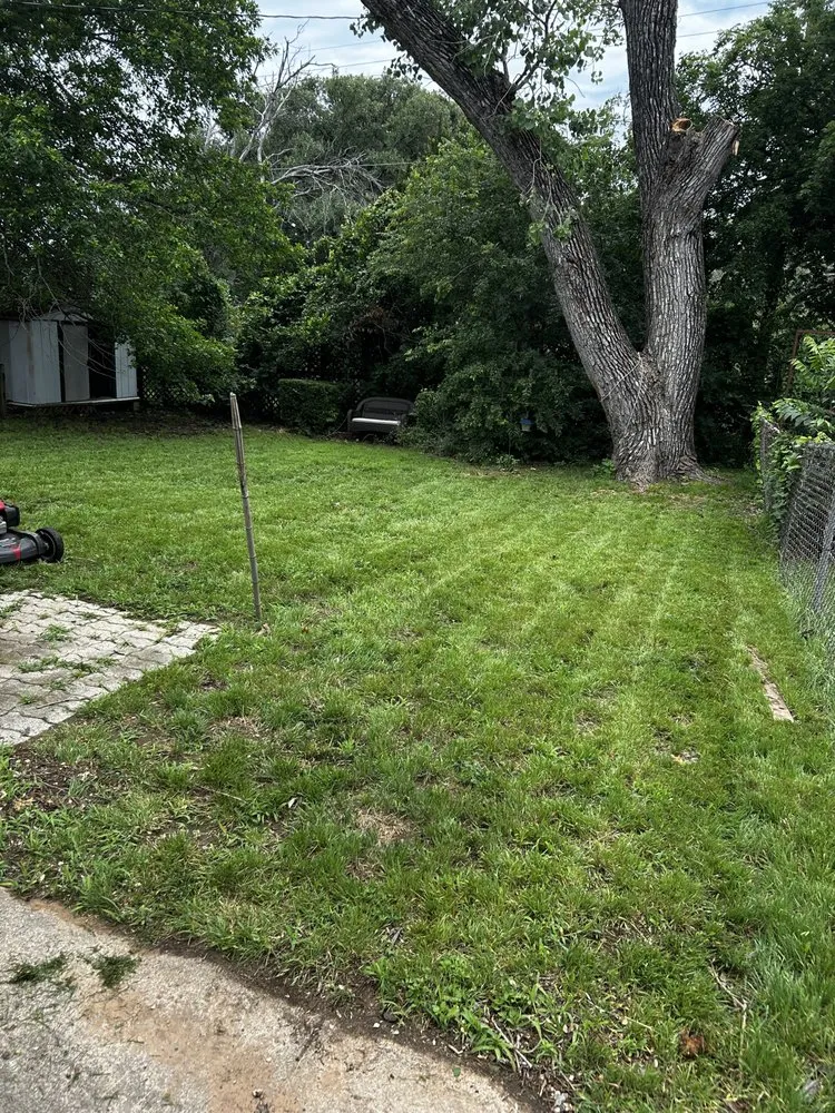 Top-rated yard cleanup service in Denton, TX - Knight’s Blade Lawn Care