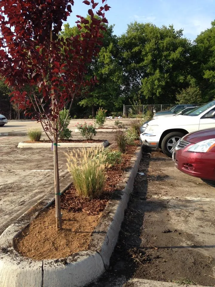 Professional lawn mowing service with custom design in Dallas, TX by Knights Development, LLC