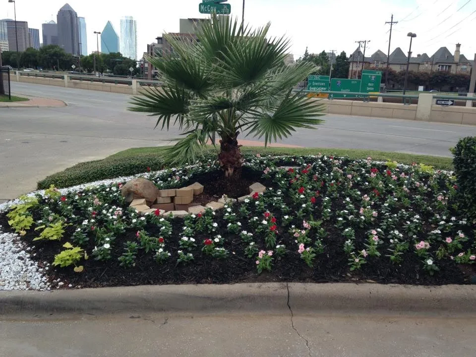 Expert yard cleanup service experts serving Dallas, TX - Knights Development, LLC