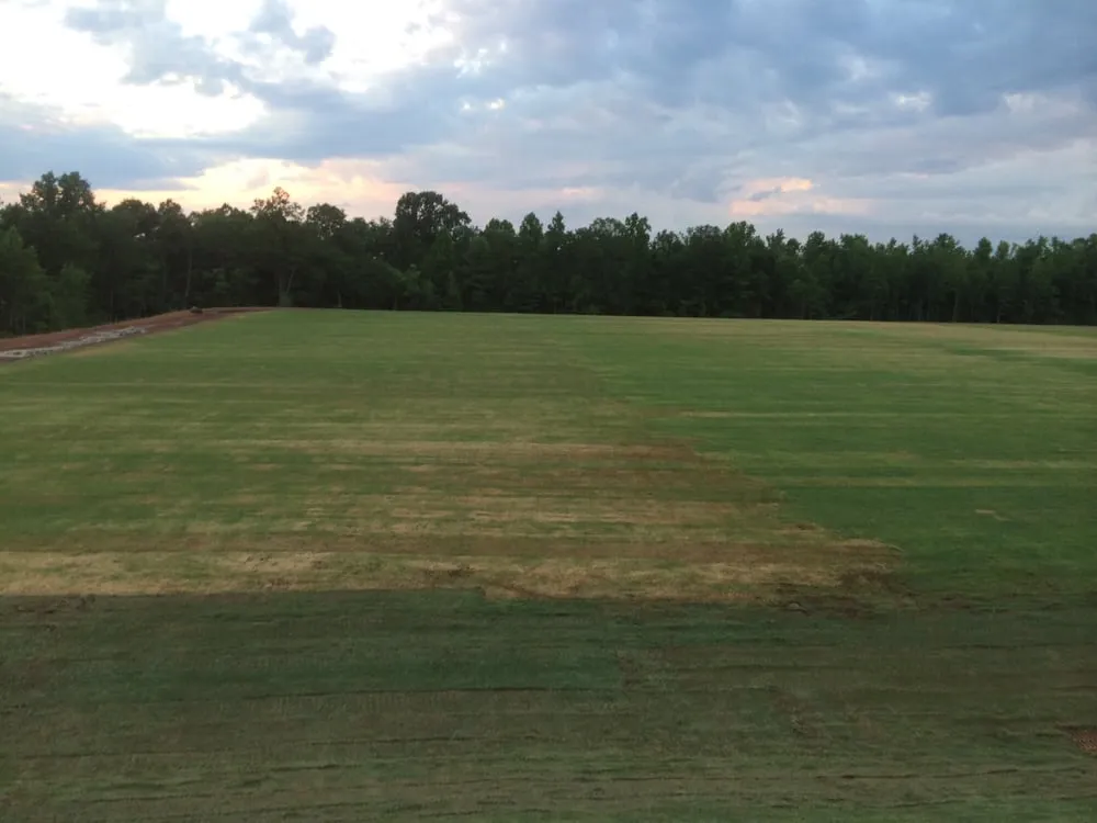 Custom landscape installation in Spartanburg, SC by Knight's Grading & Landscape