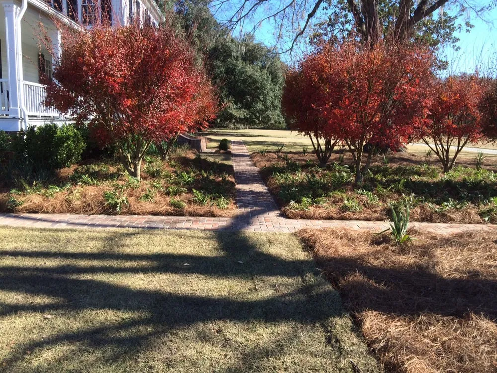 Affordable landscape installation in Spartanburg, SC by Knight's Grading & Landscape