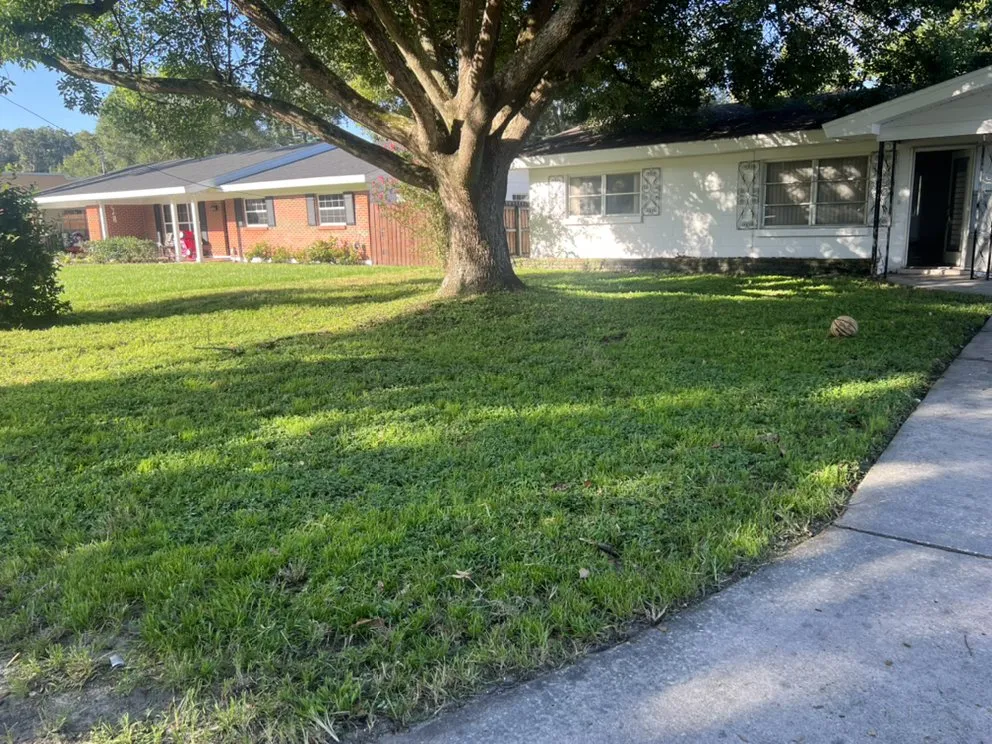 Trusted outdoor landscaping experts serving Lakeland, FL - Knights Landscape Design