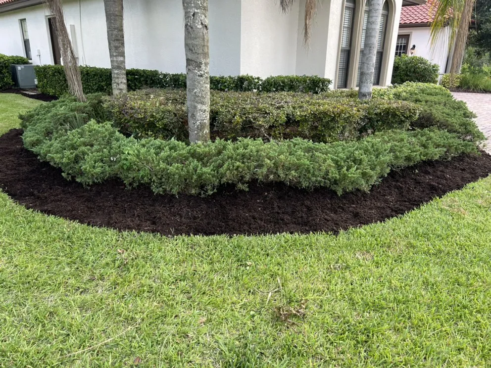 Affordable landscaping services in Lakeland, FL - Knights Landscape Design