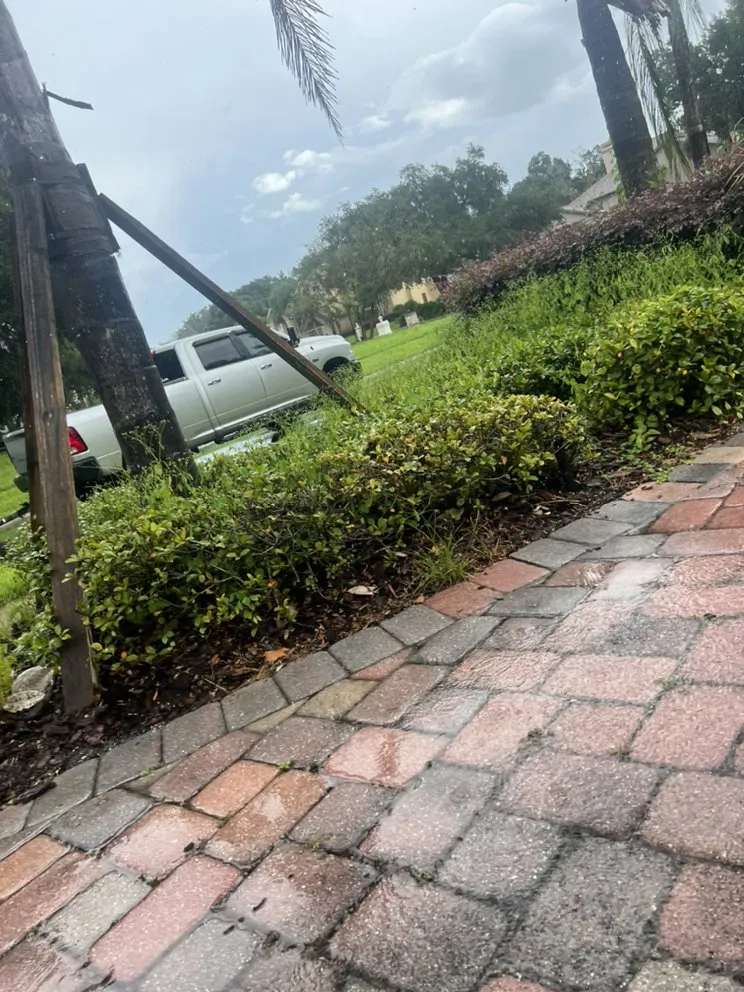 Professional yard maintenance in Lakeland, FL - Knights Landscape Design