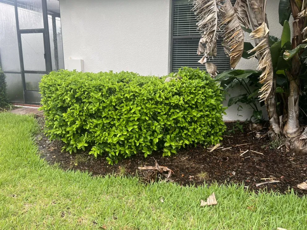 Custom residential landscaping in Lakeland, FL - Knights Landscape Design