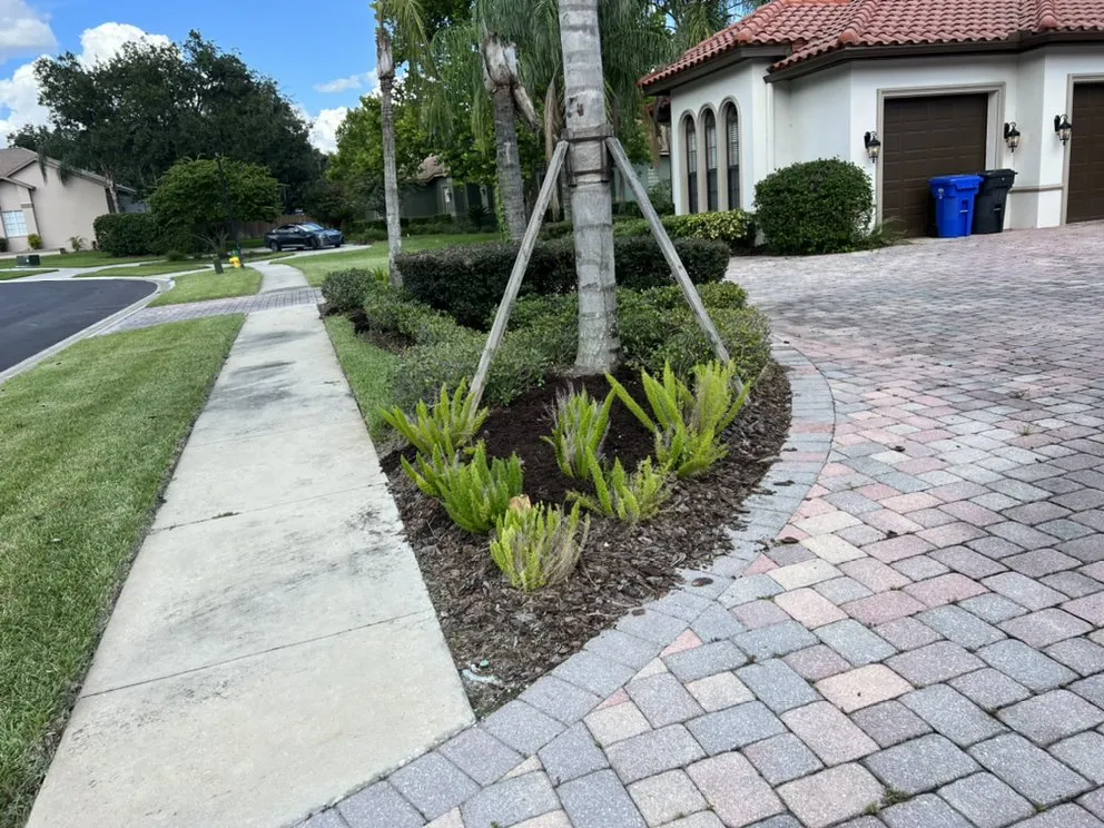Local landscaping services experts serving Lakeland, FL - Knights Landscape Design