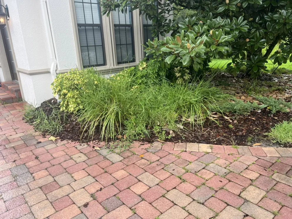 Affordable yard maintenance in Lakeland, FL - Knights Landscape Design