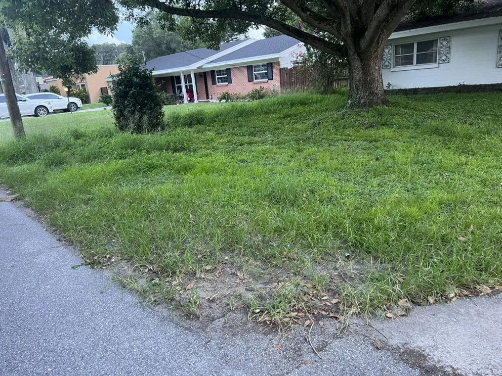 Expert landscaping services in Lakeland, FL - Knights Landscape Design