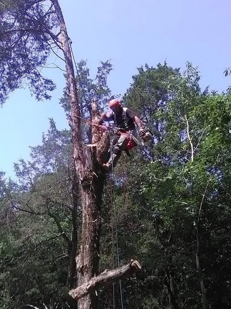 Reliable yard cleanup service for residential properties across Smyrna, TN - Knights Landscaping Construction And Design