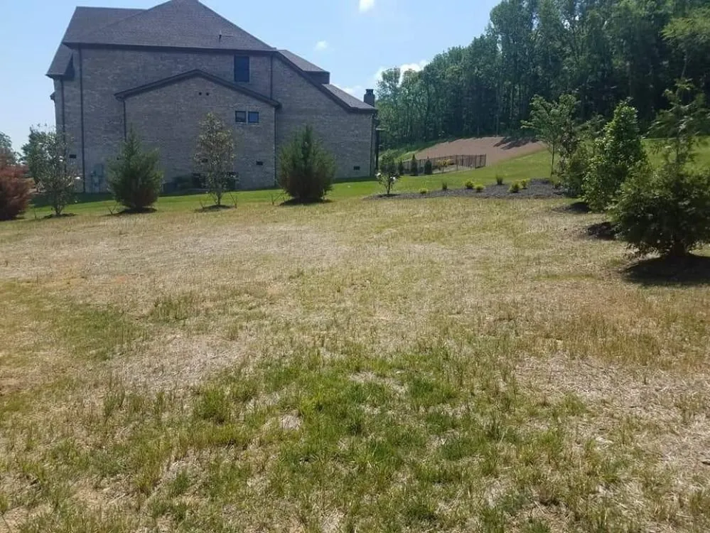 Professional yard cleanup service experts serving Smyrna, TN - Knights Landscaping Construction And Design