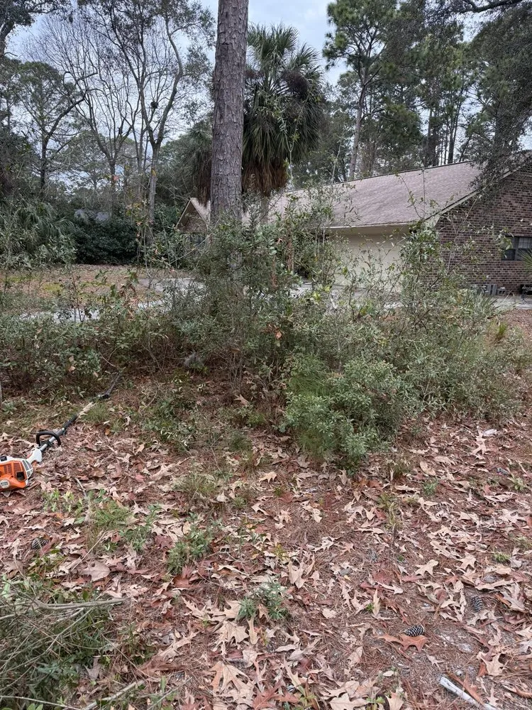 Trusted lawn mowing service in Beaufort, SC by Knights Lawn & Care Pressure Washing