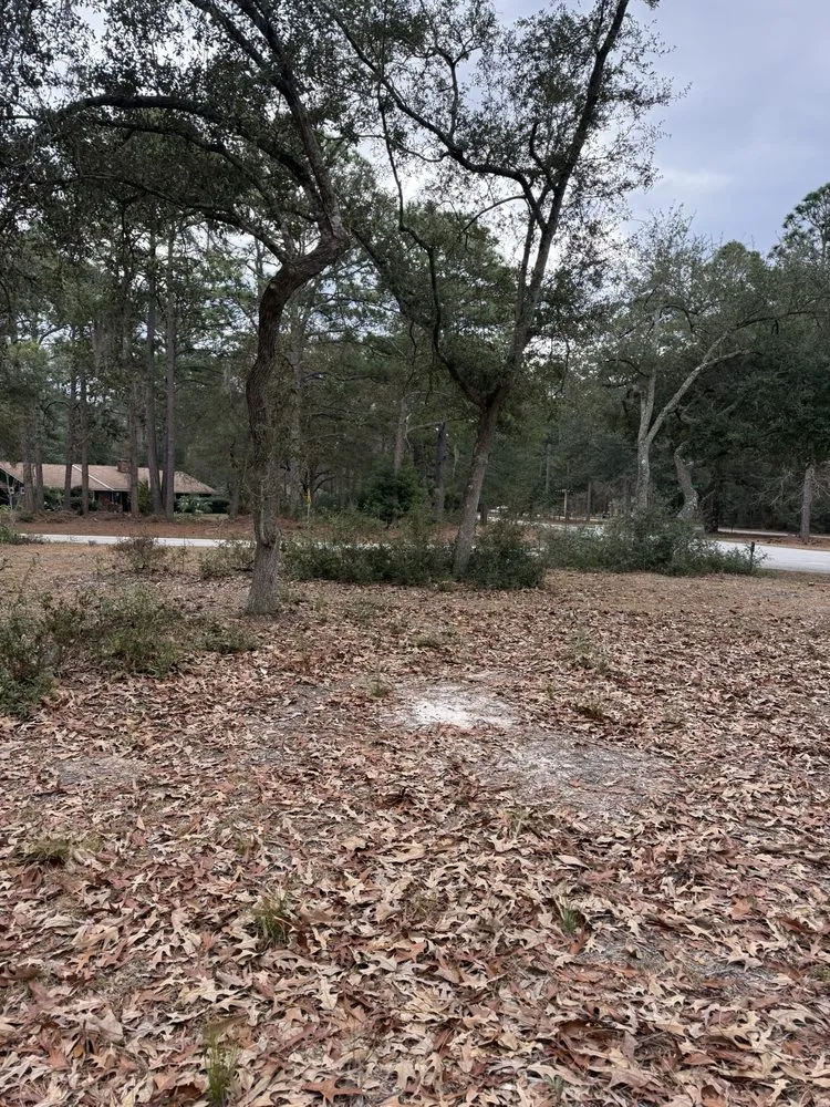 Top-rated garden landscaping in Beaufort, SC - Knights Lawn & Care Pressure Washing