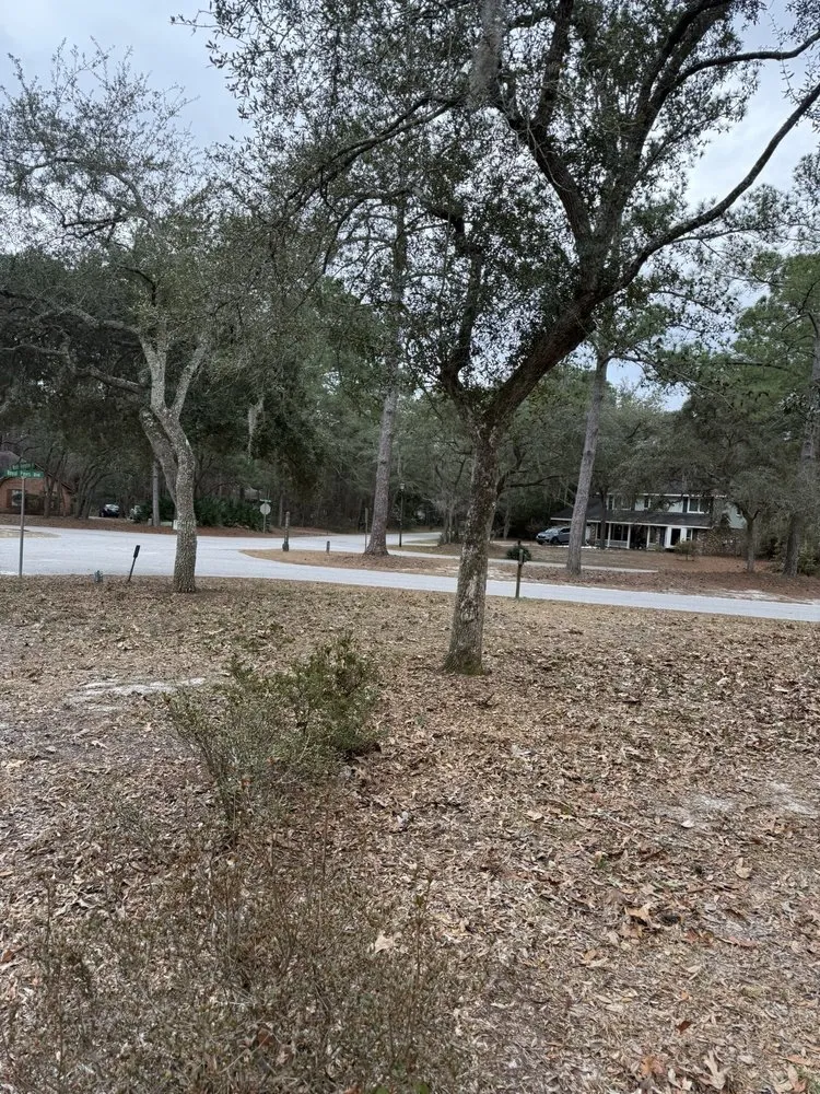 Custom garden landscaping in Beaufort, SC by Knights Lawn & Care Pressure Washing