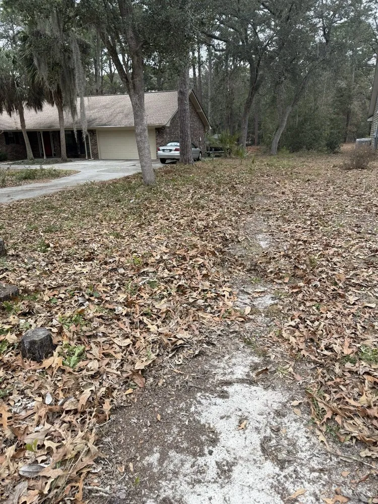 Reliable landscaping services experts serving Beaufort, SC - Knights Lawn & Care Pressure Washing