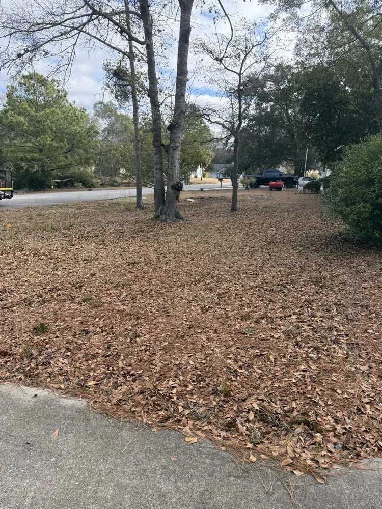 Professional outdoor landscaping near you across Beaufort, SC - Knights Lawn & Care Pressure Washing