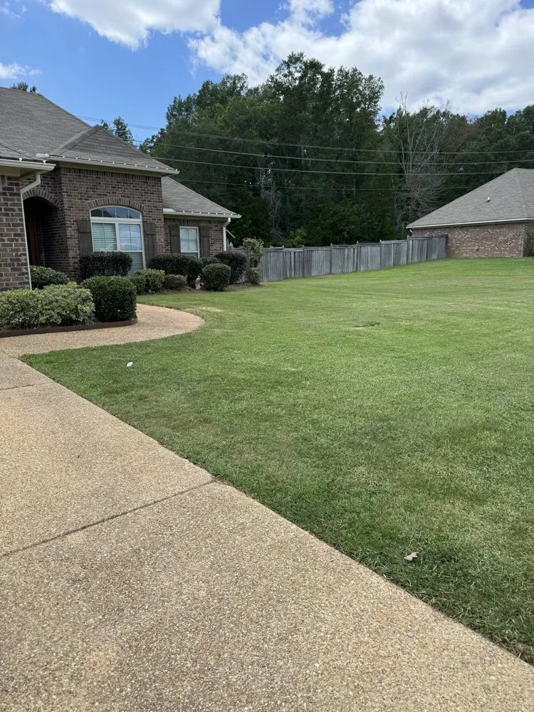 Local landscape design in Jackson, MS - Knights Lawn & Landscaping