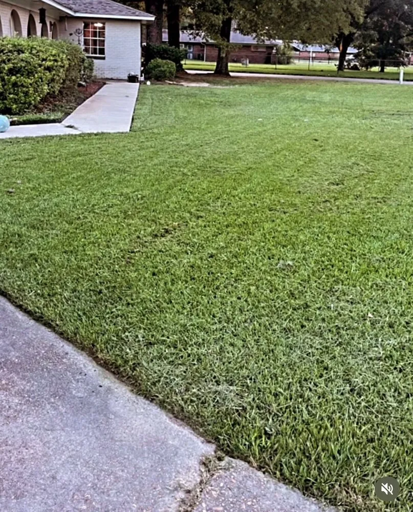 Top-rated residential landscaping in Jackson, MS - Knights Lawn & Landscaping